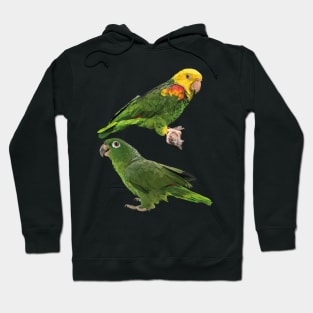 Parrots Hoodie